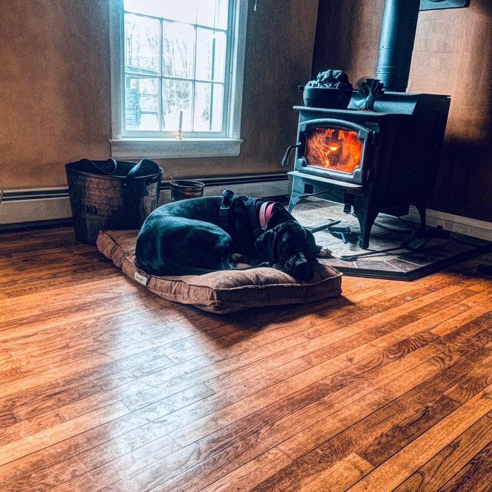 Meet your Posher, Chris